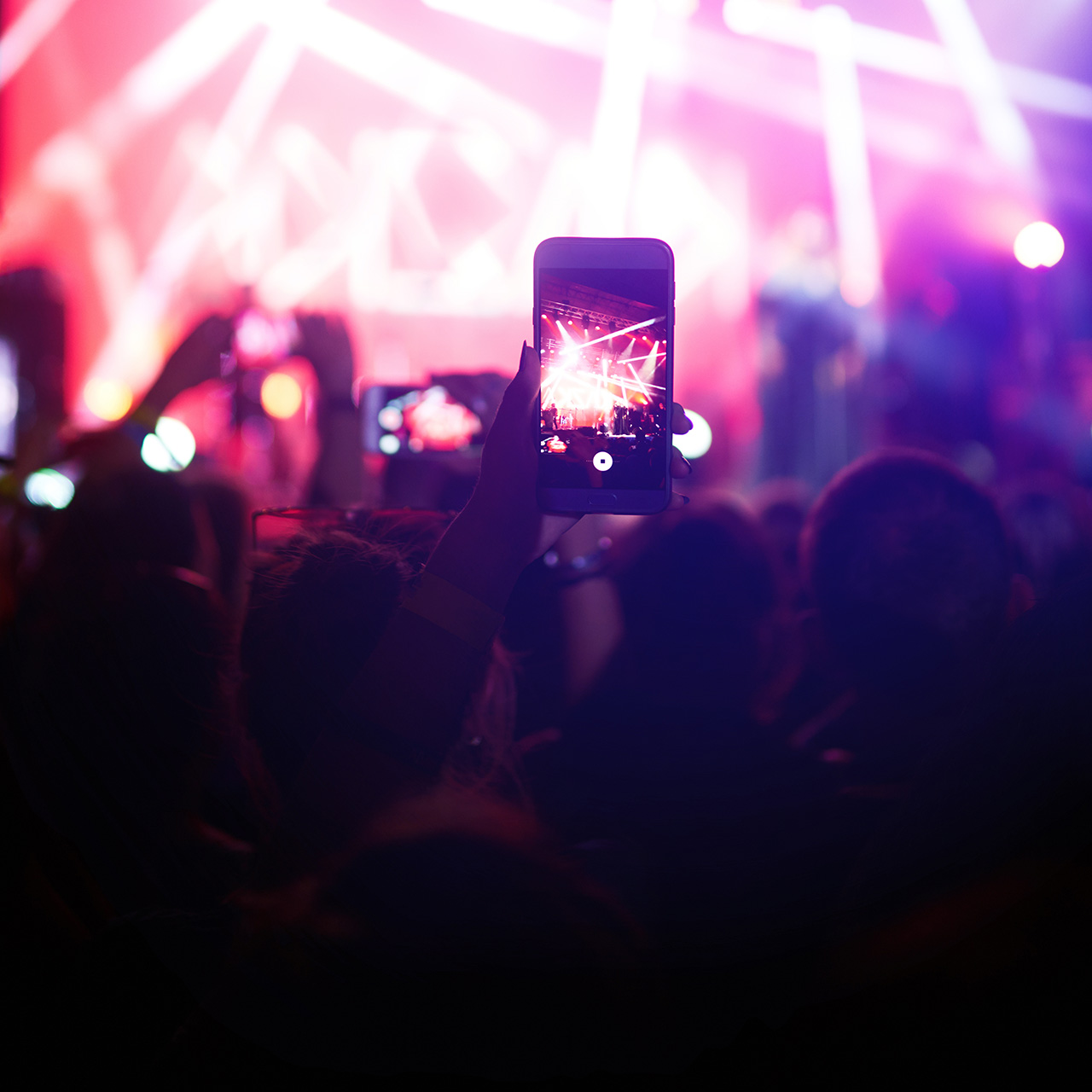 people recording a concert having a good time